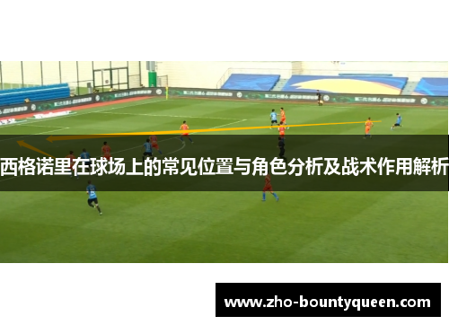 西格诺里在球场上的常见位置与角色分析及战术作用解析